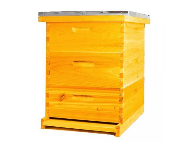 Langstroth Hive - 1