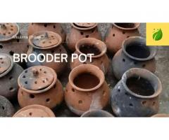 Brooder Pots - 1