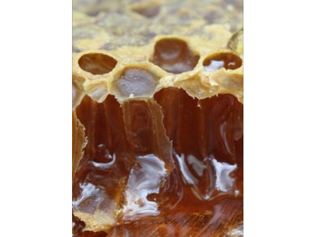 Honey - 1
