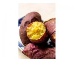 Sweet potatoes Yellow flesh