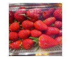 Fresh Strawberry - 1