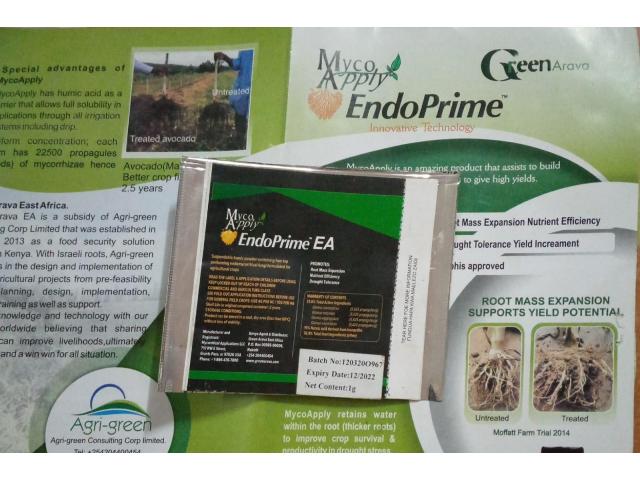 mycorrhizal endoprime - 1