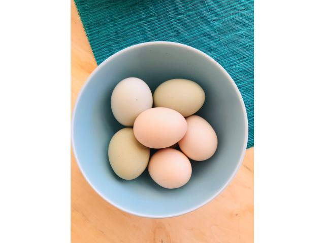 Kienyeji eggs - 1